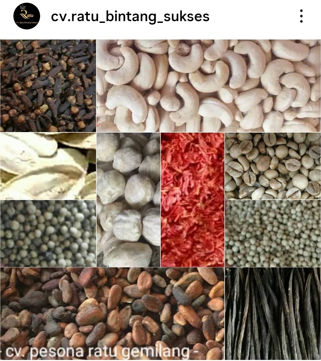 Spices