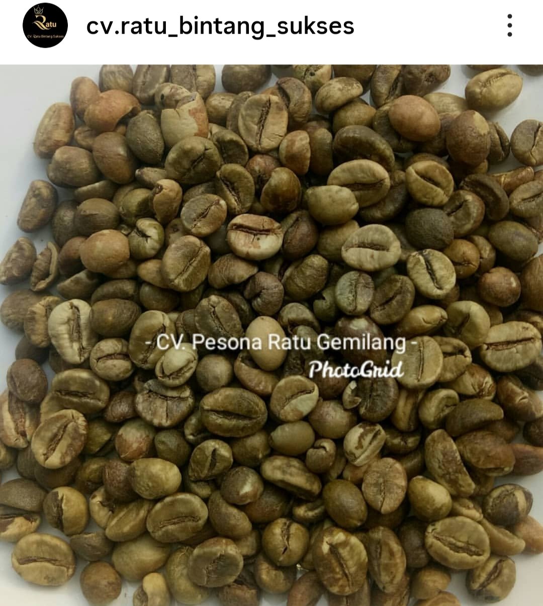 Coffee Bean