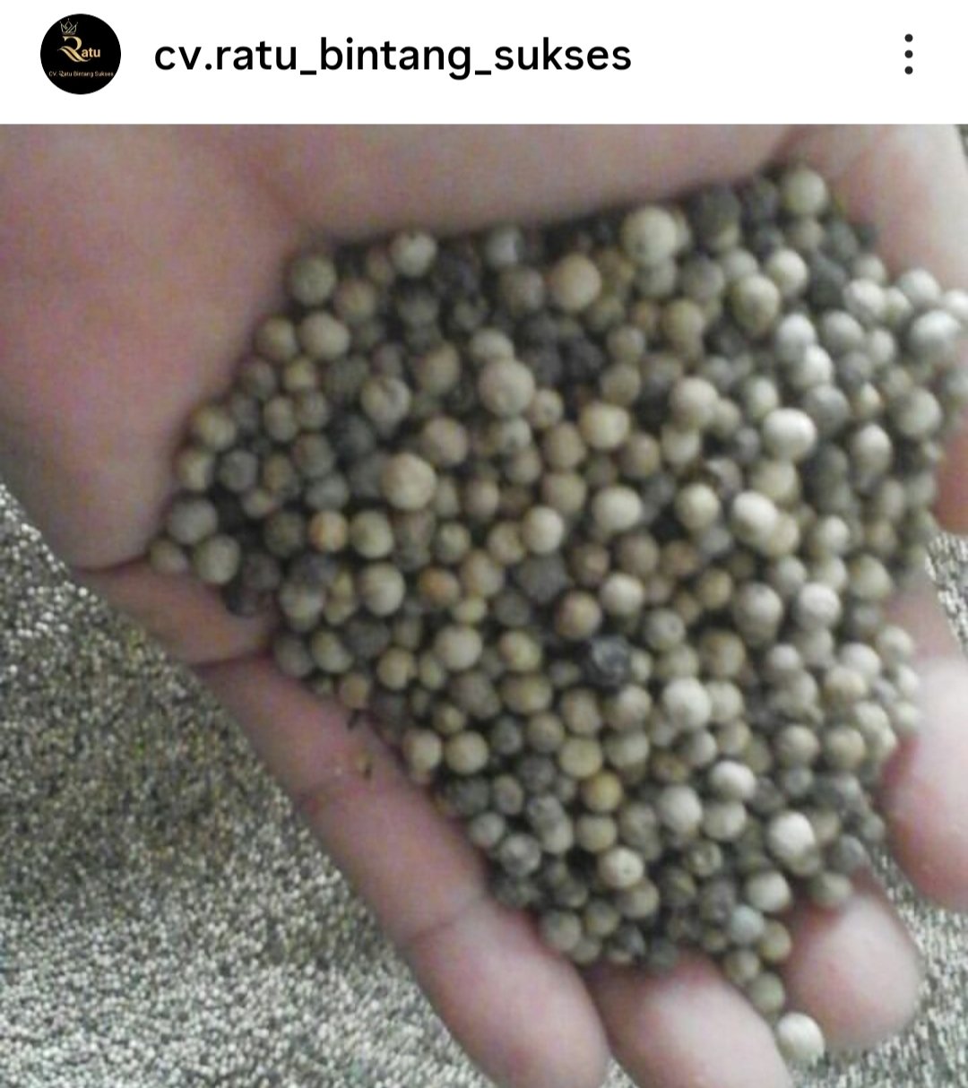 Pepper